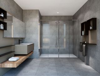 Душевая дверь Vincea Garda VDS-1G2170CL 170 см