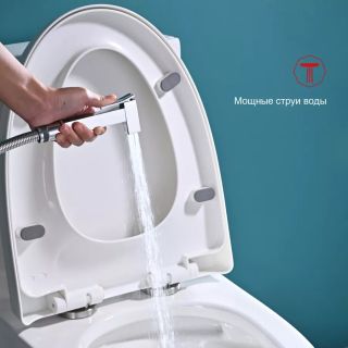 Смеситель для раковины с гигиеническим душем Raglo R01.12 хром