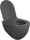 Подвесной унитаз Isvea Infinity 10NF02001SV-2C безободковый крышка микролифт антрацит матовый