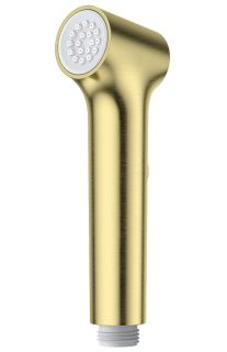 Лейка для гигиенического душа Raglo R460.05.03 золотой сатин