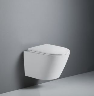 Унитаз подвесной безободковый (торнадо) Villeroy Boch DQ Rhein.Bach 500*360*350мм, сиденье микролифт, белый (DT1476516)