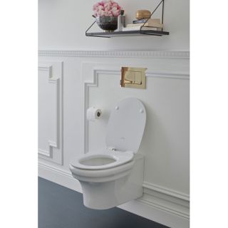 Унитаз подвесной Jacob Delafon Cleo 1889 EDZ102-0