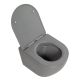 Сиденье для унитаза с микролифтом BelBagno Colorato серый матовый BB062SC-GR