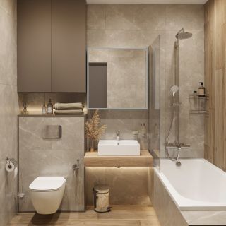 Чаша подвесного унитаза Ideal Standard Tesi (T355101) безободковый, с микролифтом