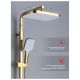 Душевая стойка Raglo R02.15.23 золотой сатин