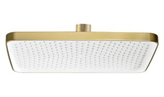 Верхний душ Raglo R451.52.03 34x22см золотой сатин