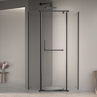Душевой уголок RGW PA-081B 35088100-14 100x100см чёрный