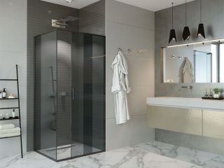 Душевая боковая стенка Alex Baitler SG64B100 100?200 см