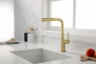 Смеситель для кухни Paulmark Neo Ne214419-BG брашированное золото