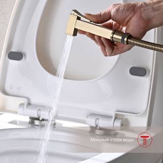 Гигиенический душ со смесителем Raglo R01.52.03 золотой сатин