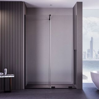 Душевая дверь Veconi Premium Trento PTDW-50B, 1500x2000, черный матовый, стекло прозрачное