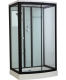 Timo Standart T-6615 Black душевая кабина (120*90*220)